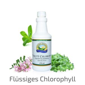 Nature´s Sunshine Flüssiges Chlorophyll